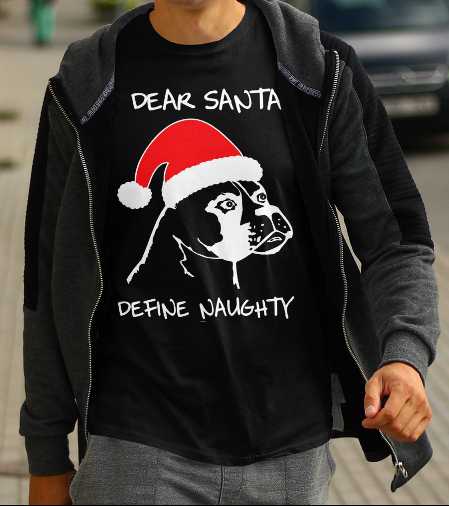 Dear Santa Define Naughty Boxer Funny Ugly Xmas Dog Lovers T-Shirt