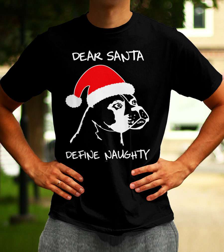 Dear Santa Define Naughty Boxer Funny Ugly Xmas Dog Lovers T-Shirt