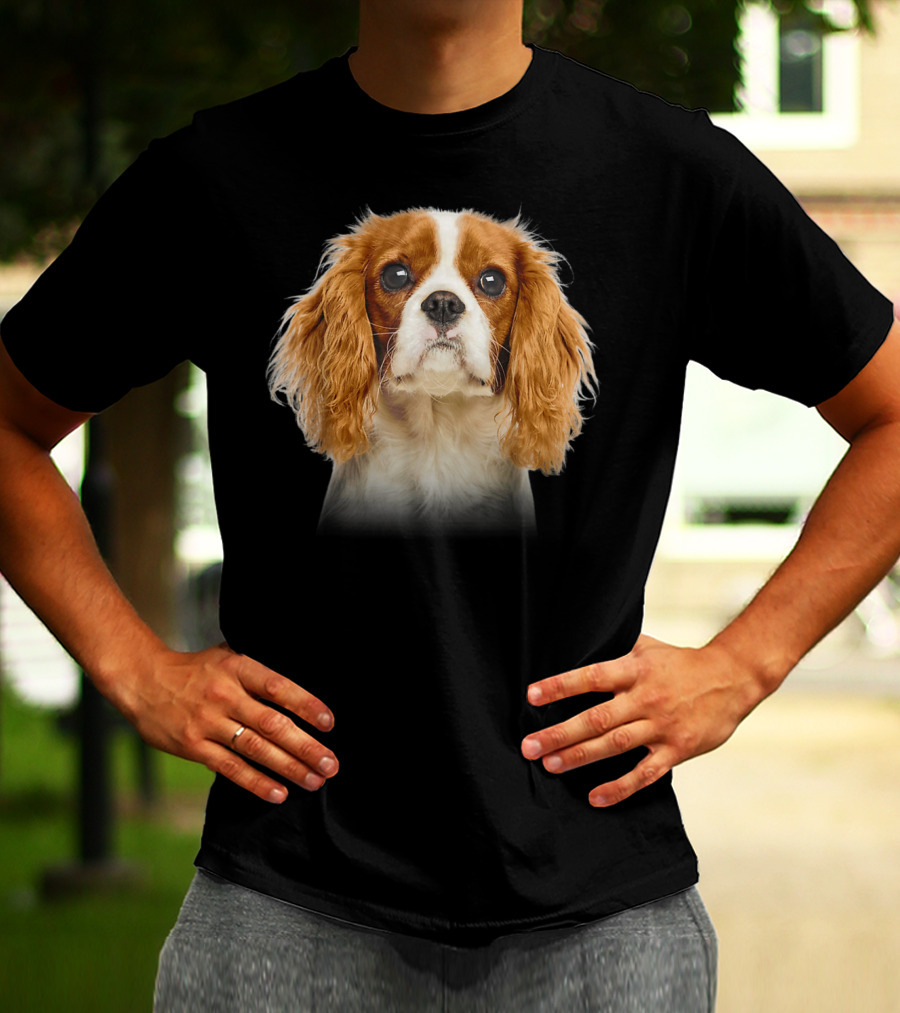Cavalier King Charles Spaniel Face Close-Up Image T-Shirt
