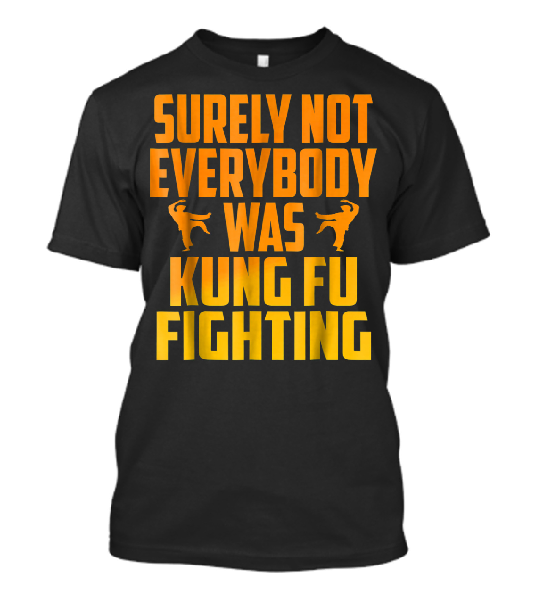 Surely Not Everybody Was Kung Fu Fighting Retro Kung Fu Pose T-Shirt