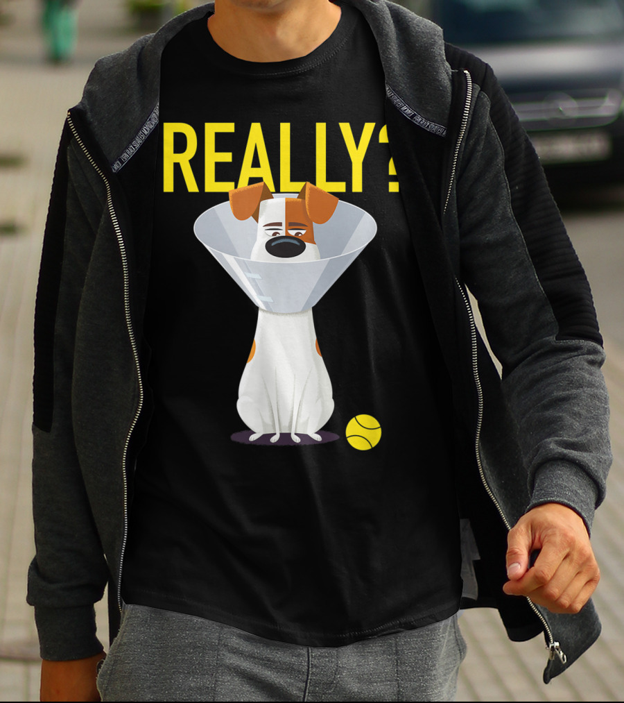 The Secret Life Of Pets 2 Max Really? Ball Cone Collar T-Shirt