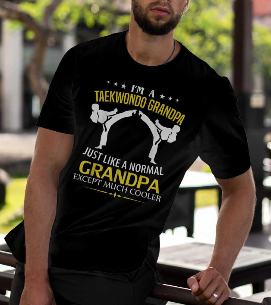 I'm A Taekwondo Grandpa Just Like A Normal Grandpa Except Much Cooler T-Shirt