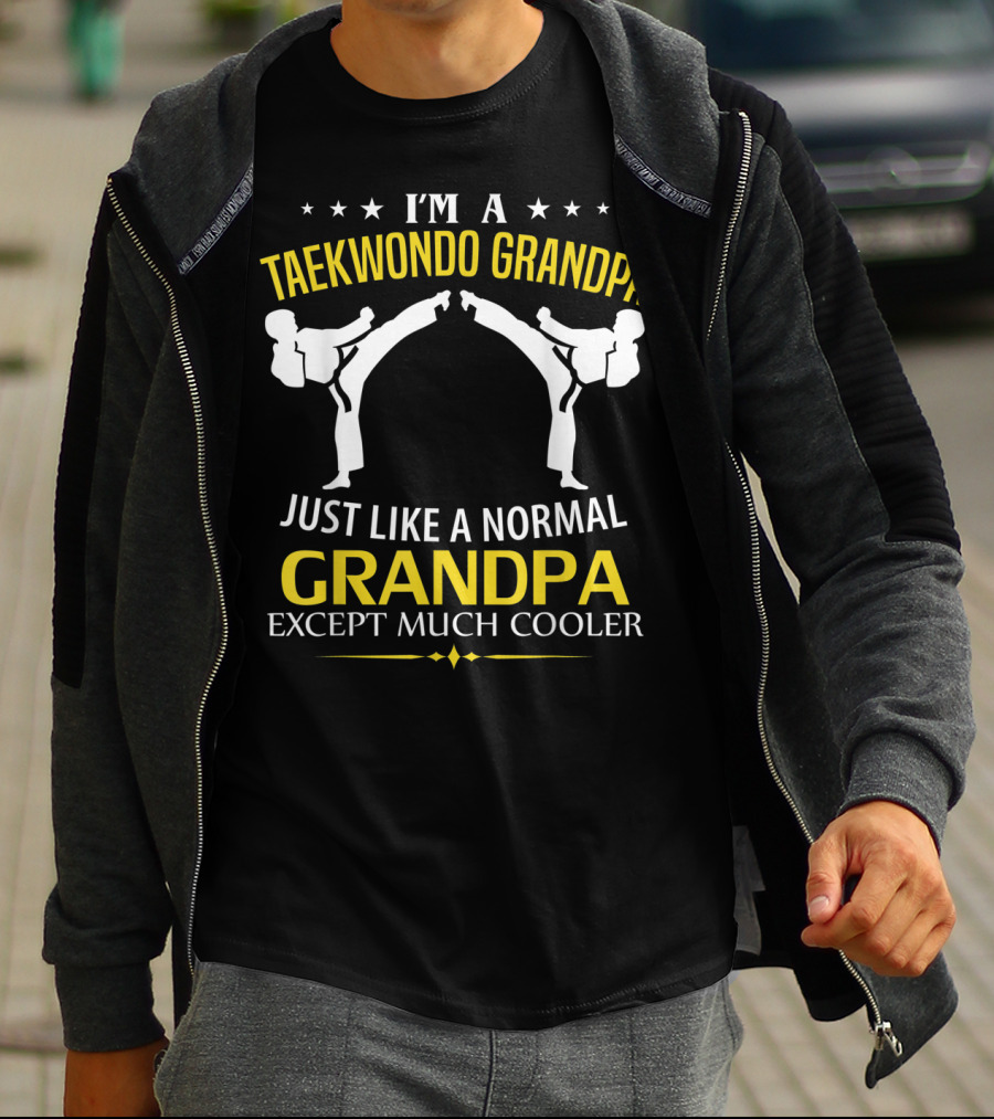 I'm A Taekwondo Grandpa Just Like A Normal Grandpa Except Much Cooler T-Shirt