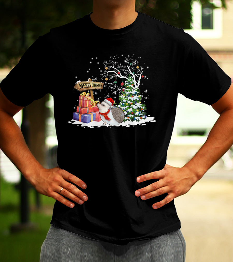 Merry Christmas Funny Hedgehog Santa Christmas Hedgehog Lover T-Shirt