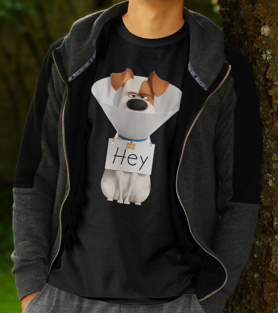 Hey Max Dog Cone Humor T-Shirt