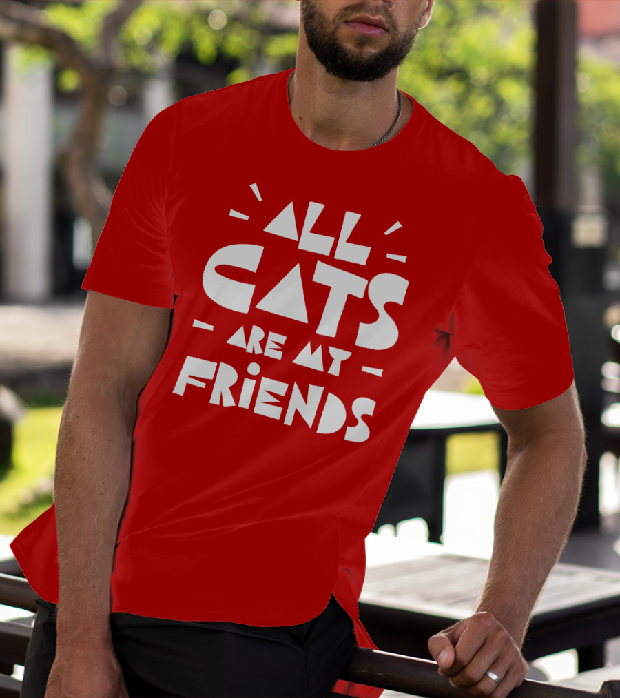 All Cats Are My Friends Cat Lover T-Shirt