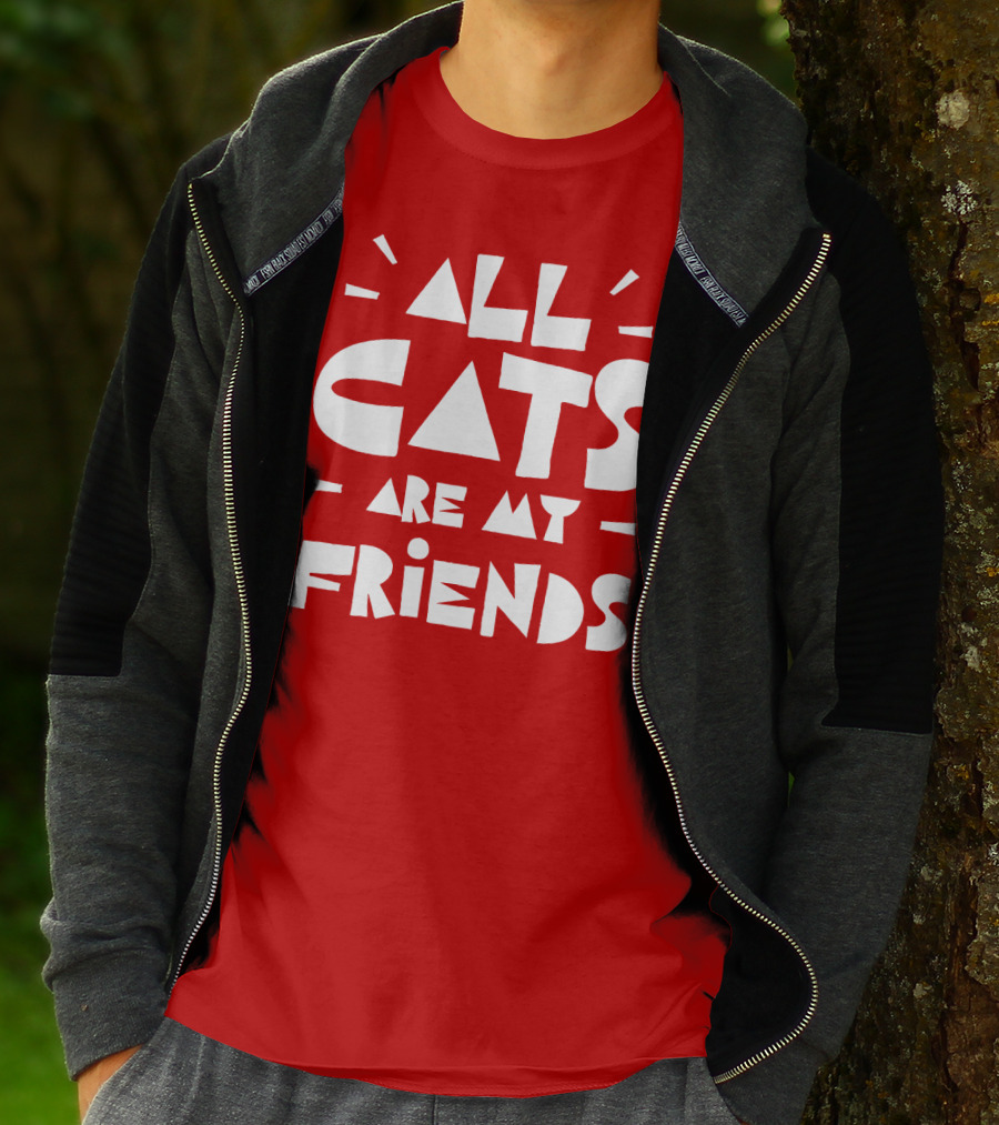 All Cats Are My Friends Cat Lover T-Shirt