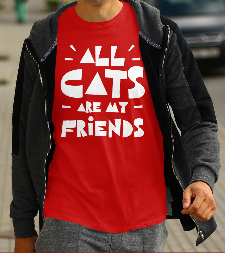 All Cats Are My Friends Cat Lover T-Shirt