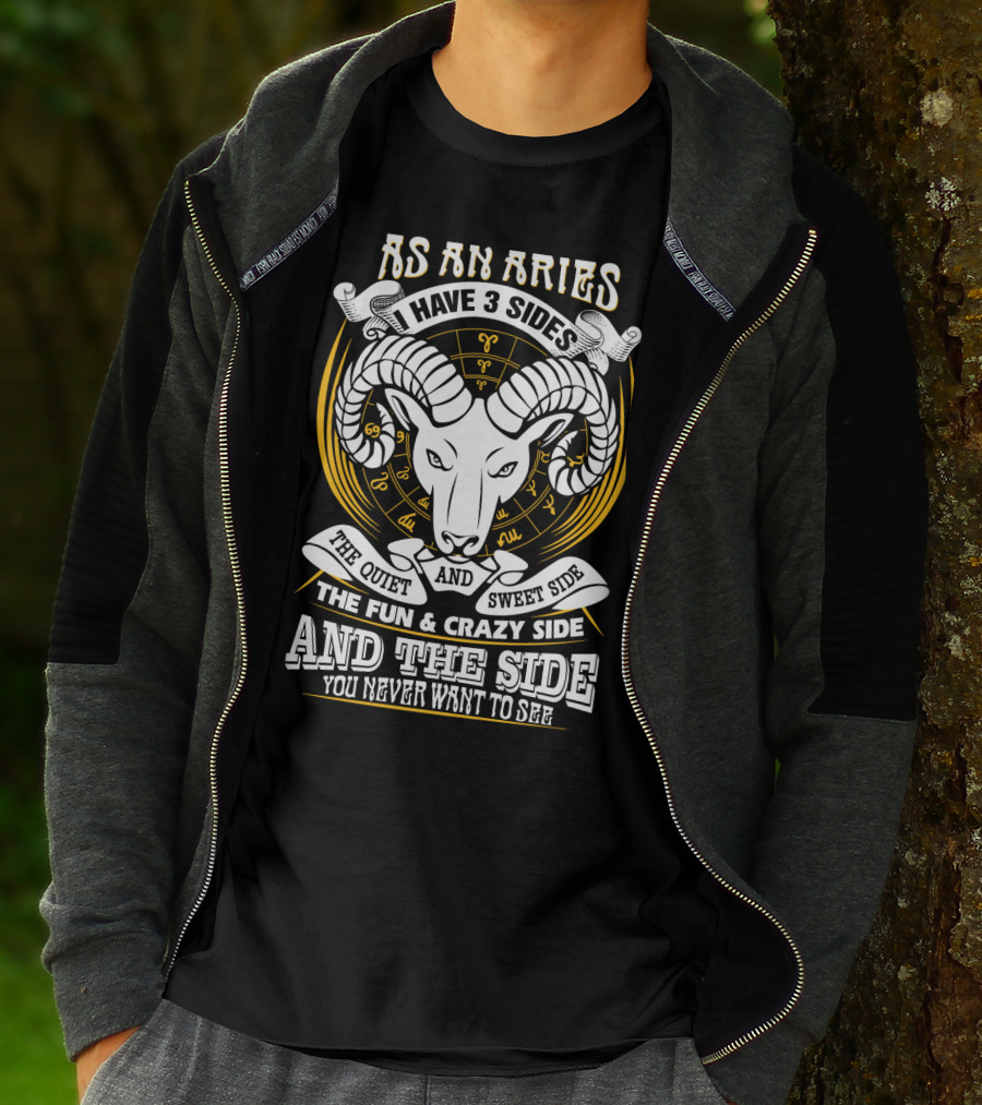 As An Aries I Have 3 Sides The Quiet And Sweet Side The Fun And Crazy Side And The Side You Never Want To See T-Shirt