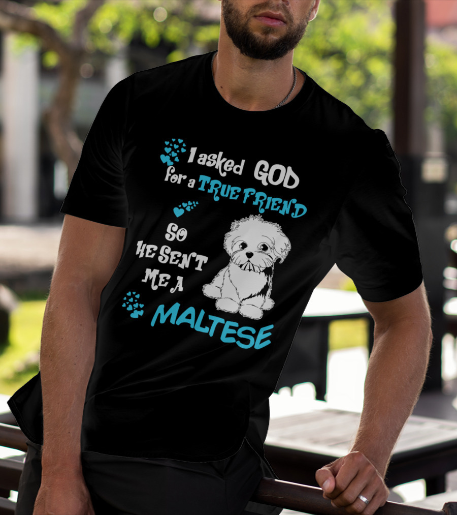 God Sent Me A True Friend Maltese Dog So He Sent Me A Maltese T-Shirt