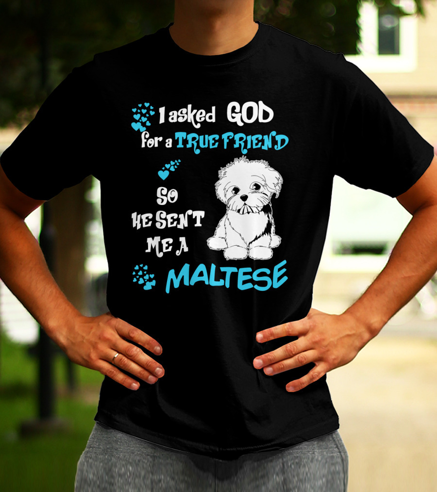 God Sent Me A True Friend Maltese Dog So He Sent Me A Maltese T-Shirt