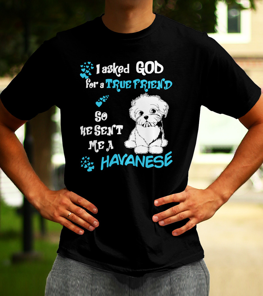 I Asked God For A True Friend So He Sent Me A Havanese T-Shirt