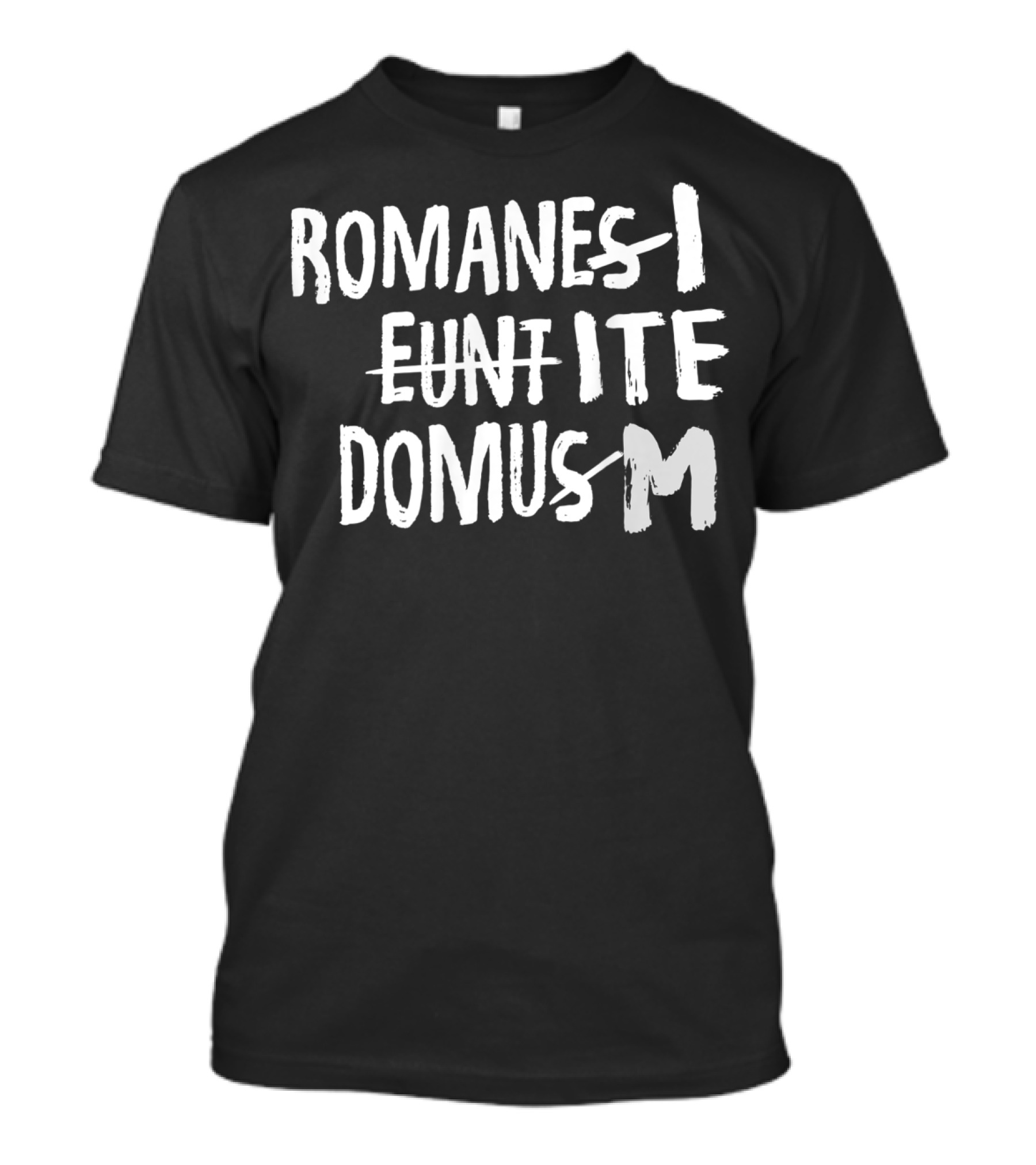 Romani Ite Domum Romanes Eunt Learning Latin Like Life T-Shirt