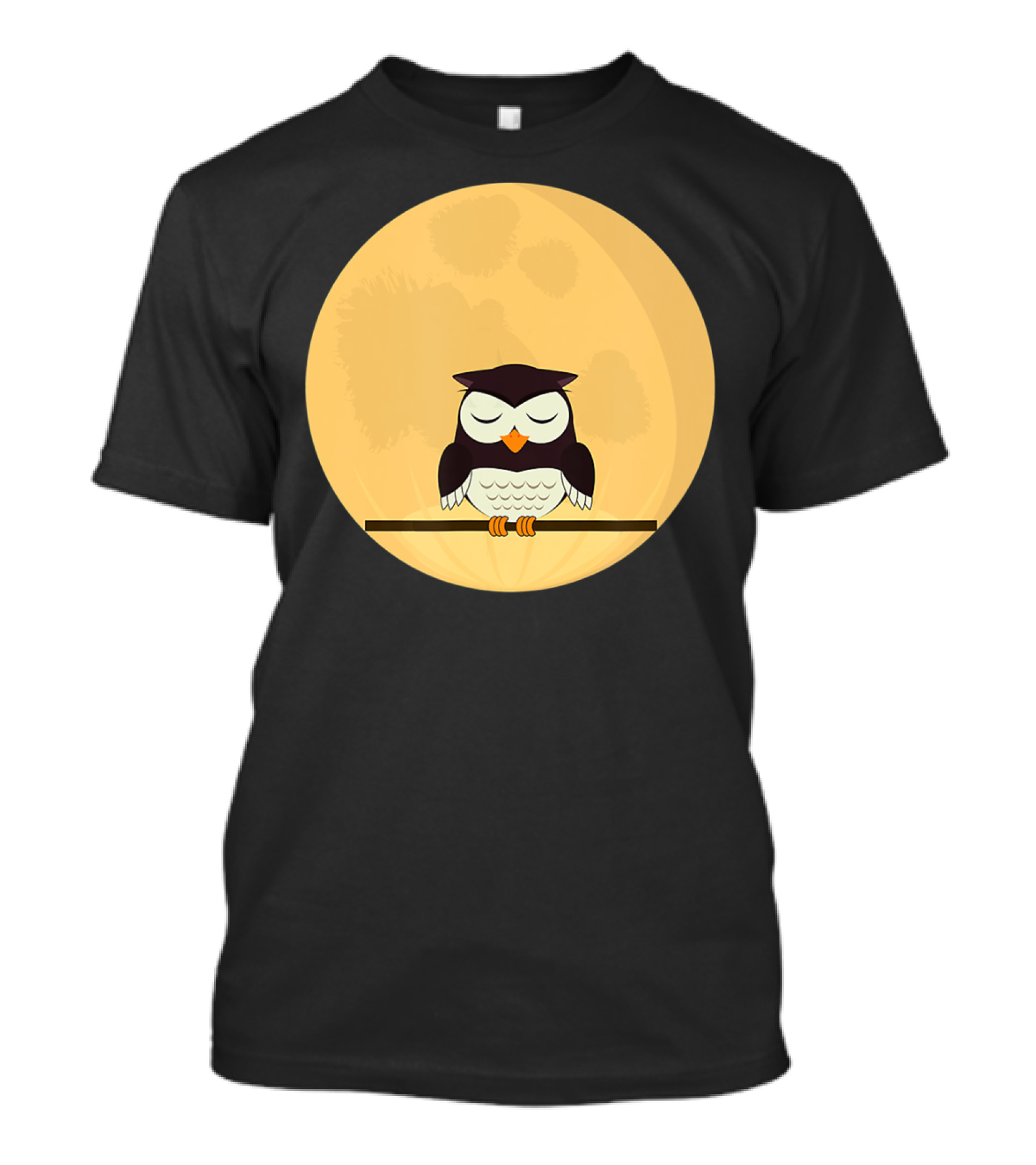 An Owl And The Full Moon Night Sky T-Shirt