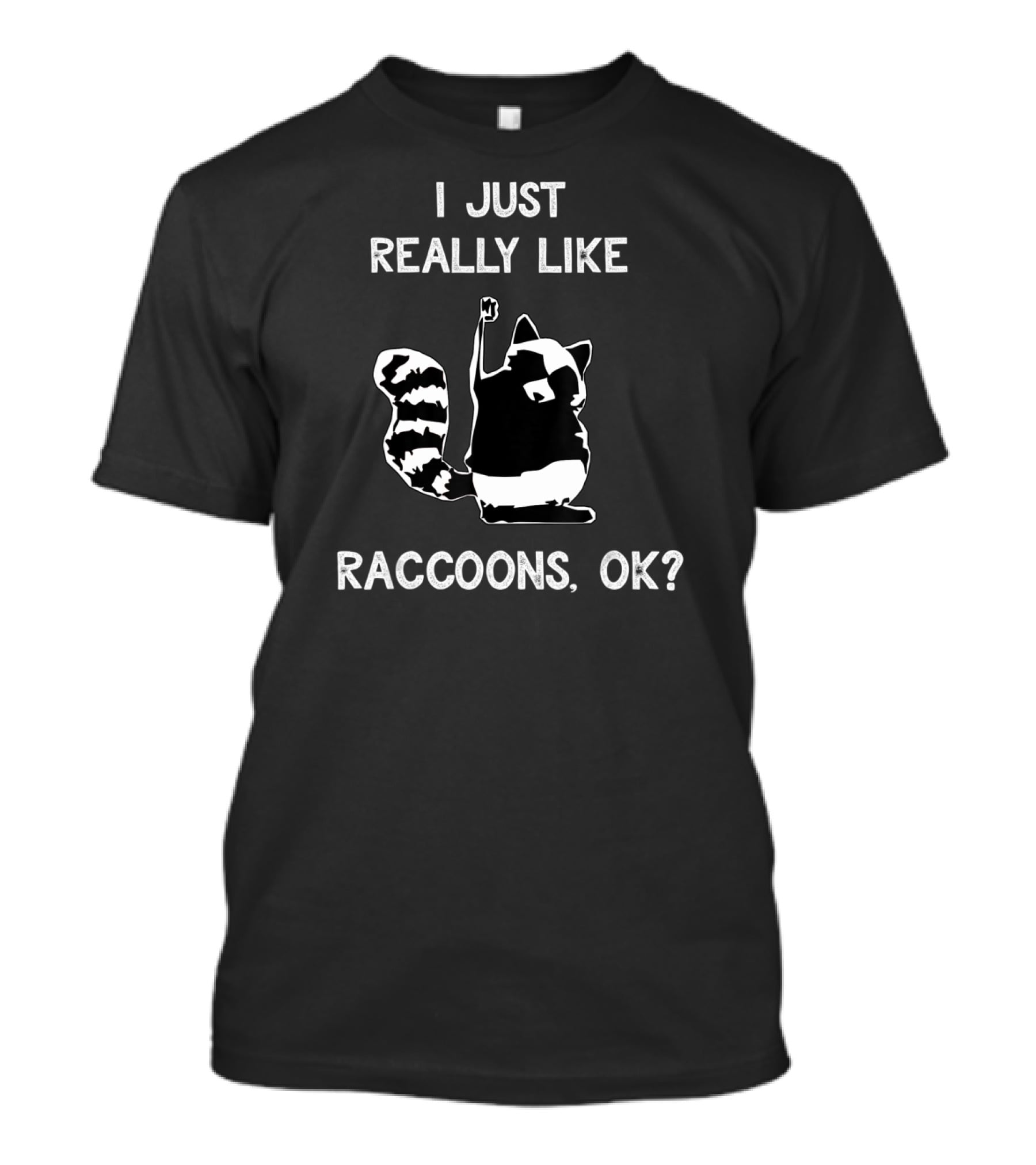 I Just Really Like Raccoons Ok Funny Raccoon Lover T-Shirt