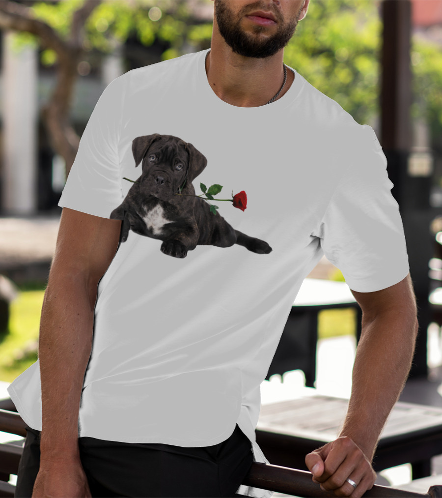 Cane Corso Puppy With A Red Rose In Mouth T-Shirt