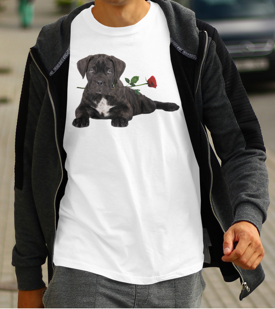 Cane Corso Puppy With A Red Rose In Mouth T-Shirt