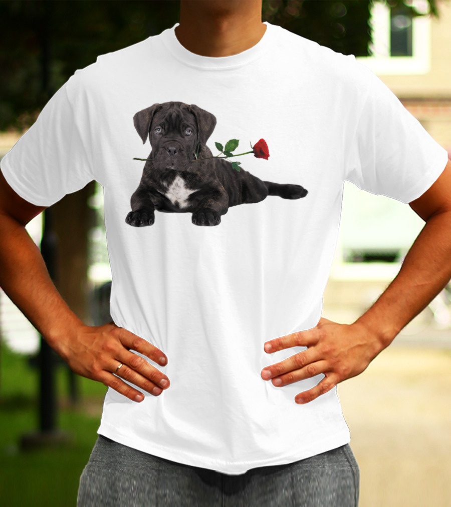 Cane Corso Puppy With A Red Rose In Mouth T-Shirt