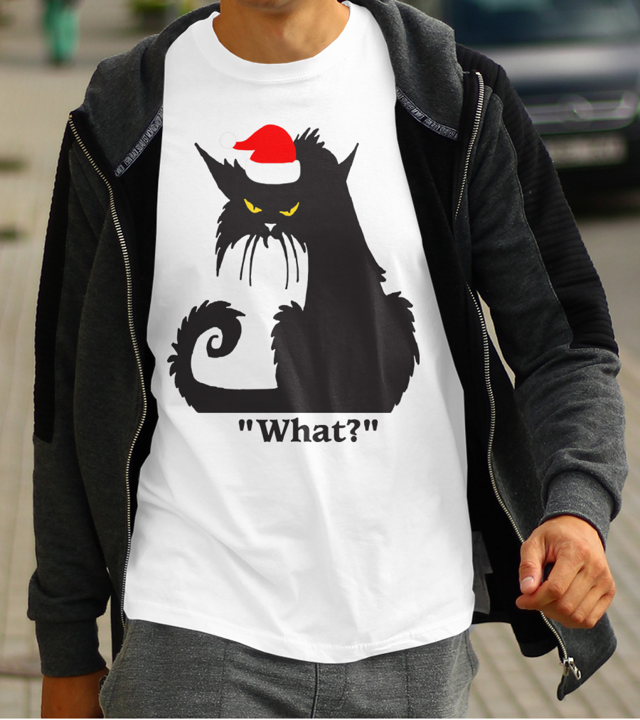 What Cat With Santa Hat T-Shirt