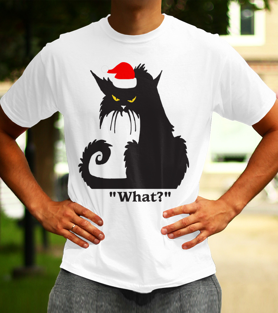 What Cat With Santa Hat T-Shirt