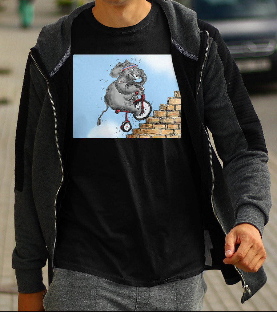 Challenge Accepted Elephant On Unicycle Climbing Stairs T-Shirt