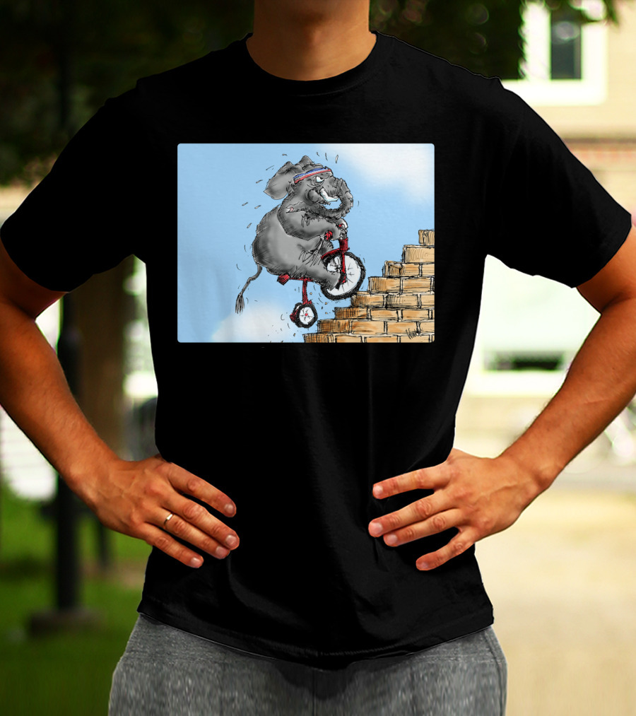 Challenge Accepted Elephant On Unicycle Climbing Stairs T-Shirt