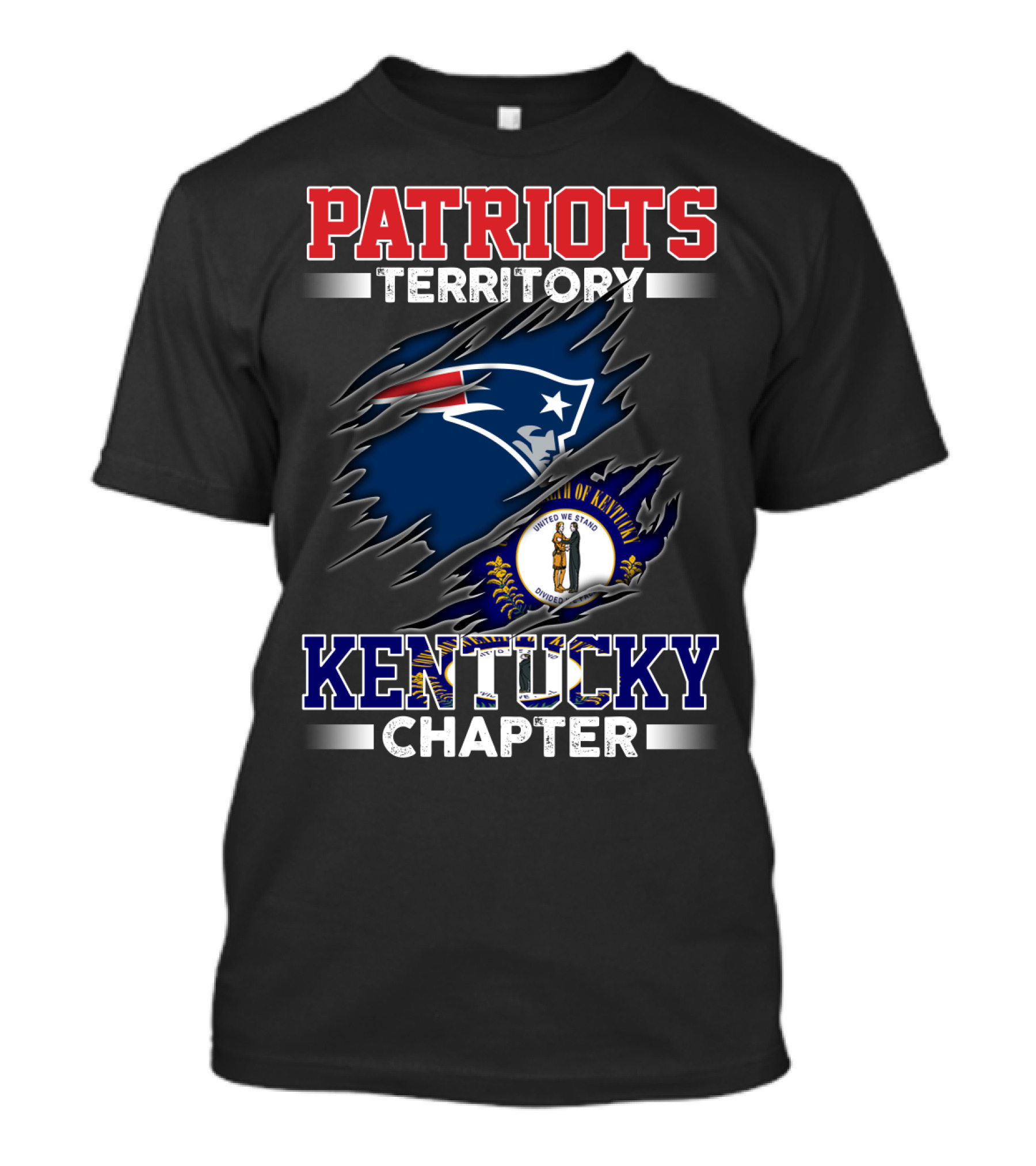 PATRIOTS Territory Kentucky Chapter United We Stand T-Shirt