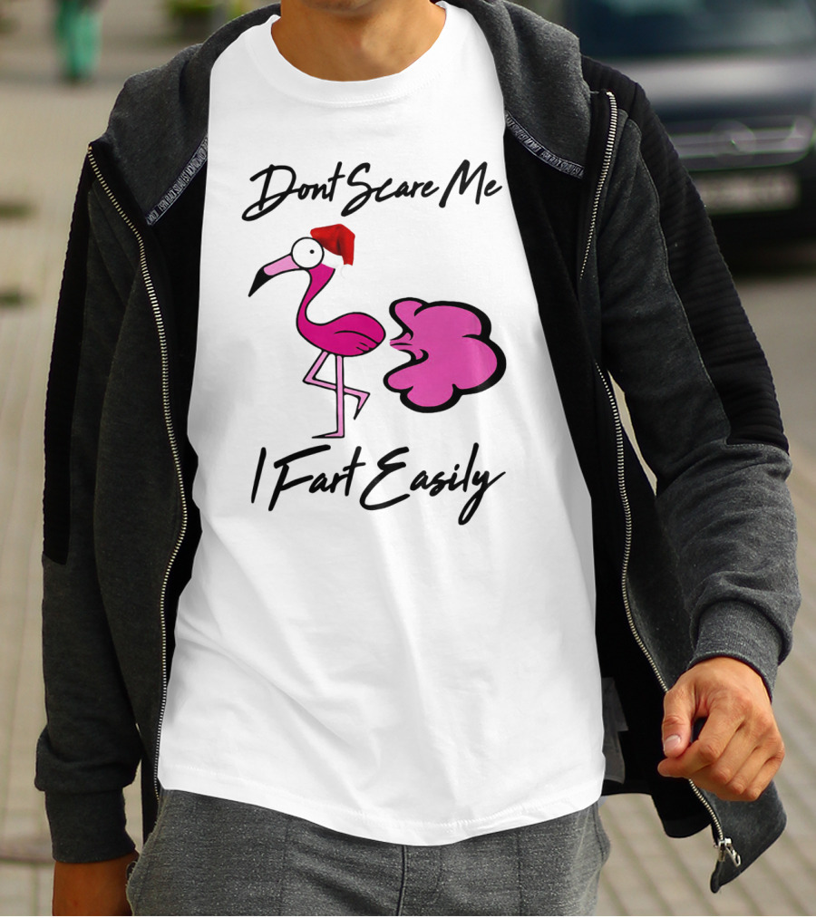 Dont Scare Me I Fart Easily Flamingo With Santa Hat T-Shirt