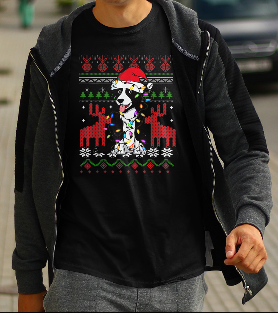 Border Collie Christmas Lights Santa Hat T-Shirt