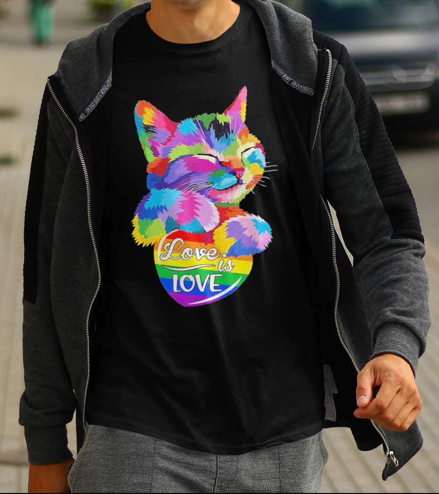 Catlove Colorful Rainbow Cat Love Is Love T-Shirt