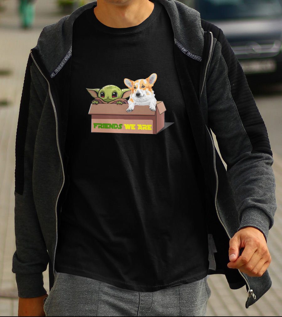 Baby Yoda Friends We Are Corgi In Box T-Shirt