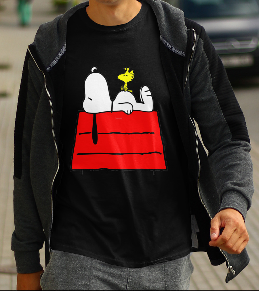 Snoopy Sleeping On Red Doghouse With Woodstock T-Shirt