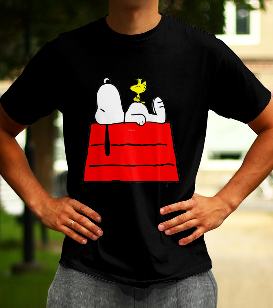 Snoopy Sleeping On Red Doghouse With Woodstock T-Shirt
