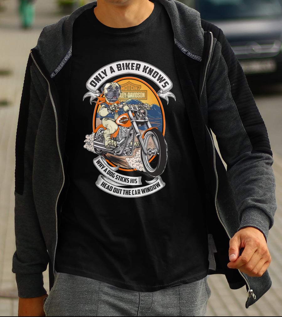 Only A Biker Knows Why A Dog Sticks His Head Out The Car Window Harley Davidson Bullmastiff T-Shirt