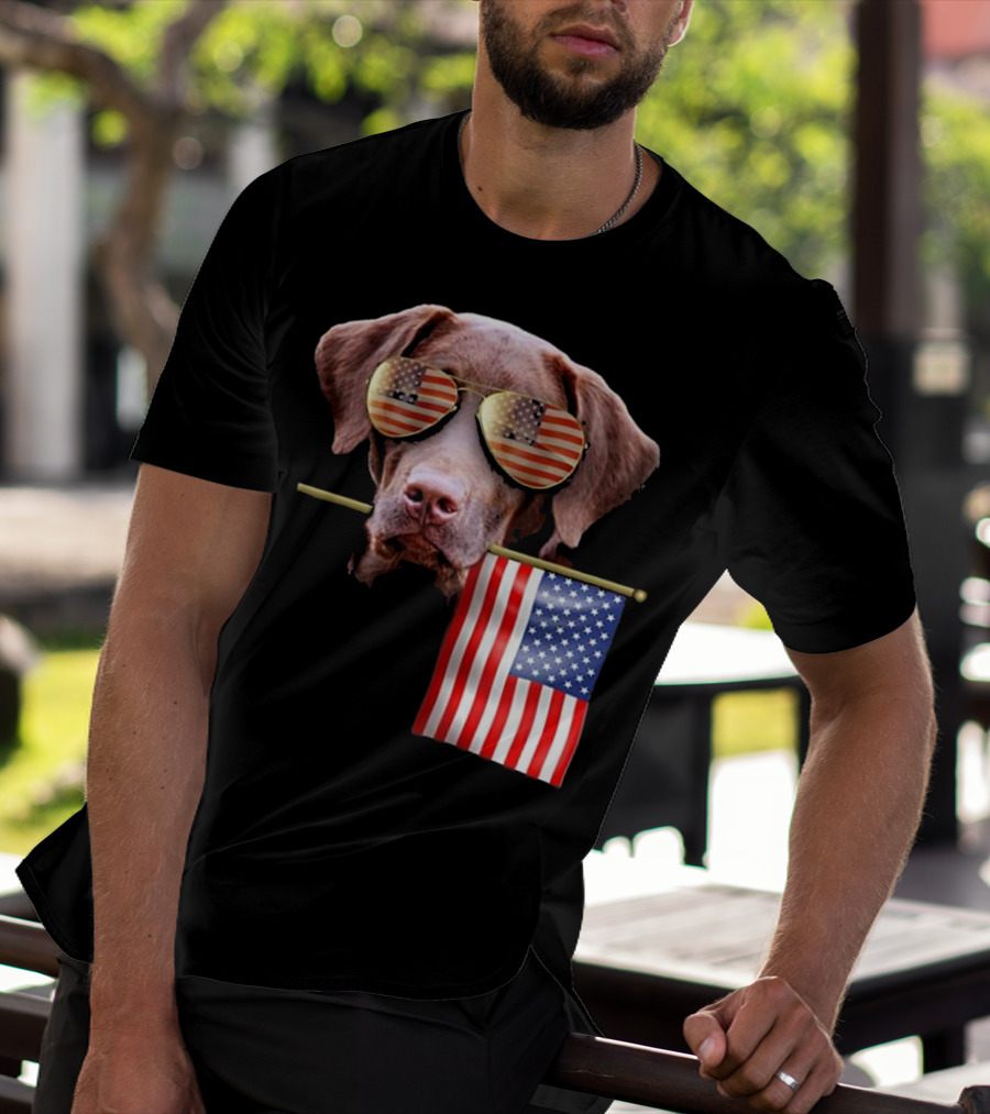 Pitbull Dog With American Flag Sunglasses And Flag T-Shirt