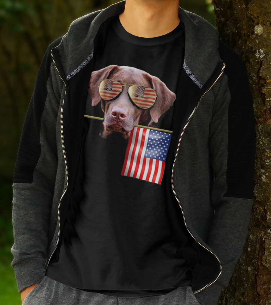 Pitbull Dog With American Flag Sunglasses And Flag T-Shirt