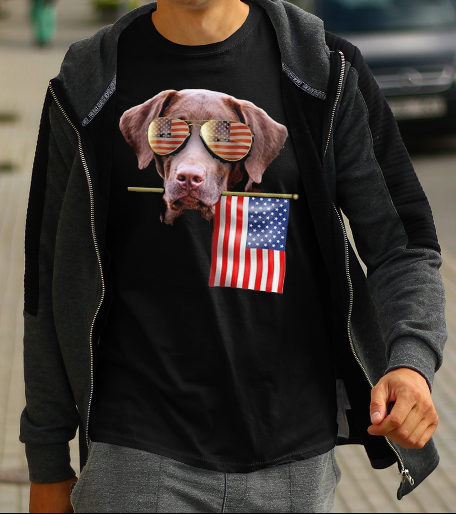Pitbull Dog With American Flag Sunglasses And Flag T-Shirt
