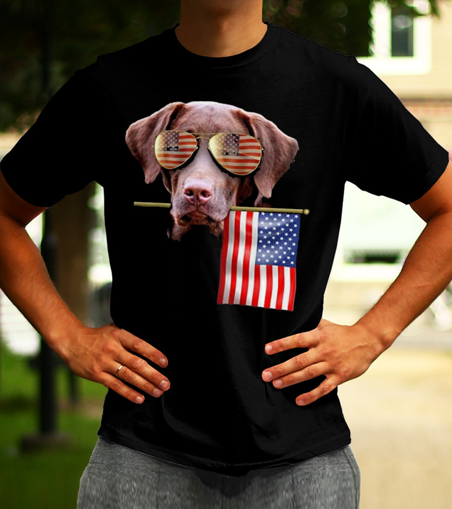 Pitbull Dog With American Flag Sunglasses And Flag T-Shirt