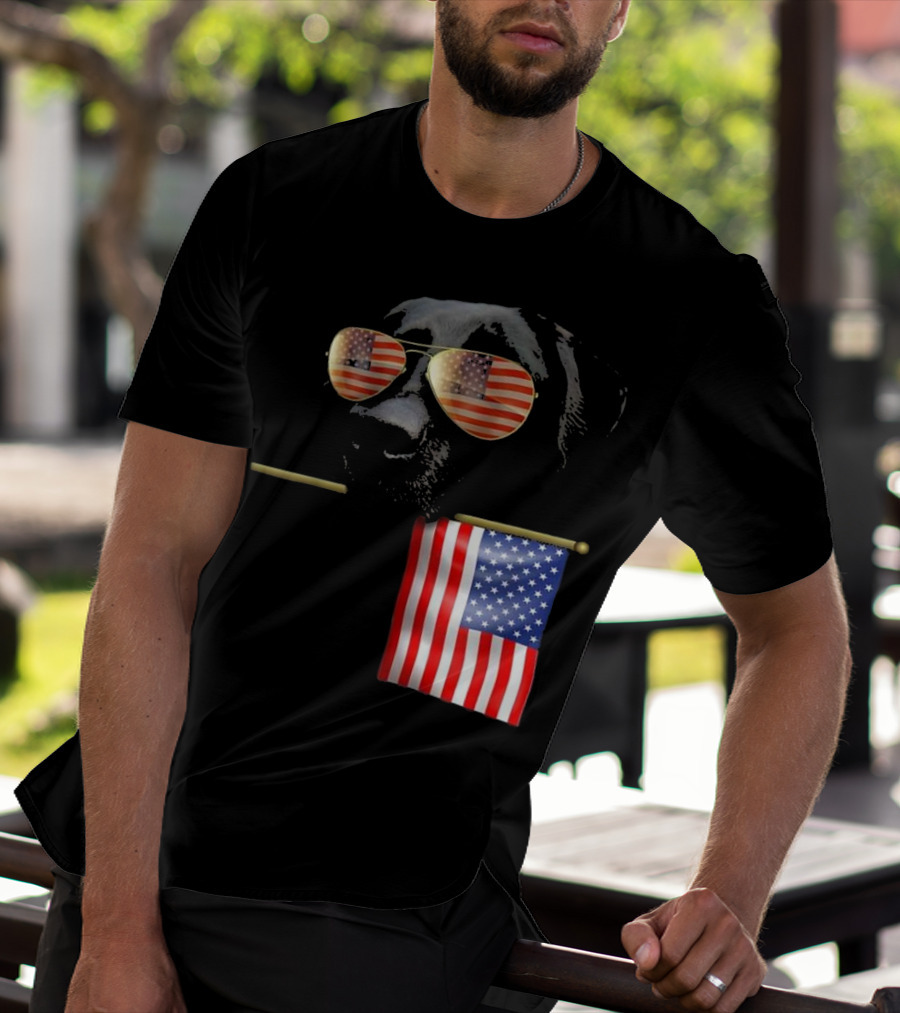 Patriotic Labrador With American Flag Shades Fourth Of July T-Shirt