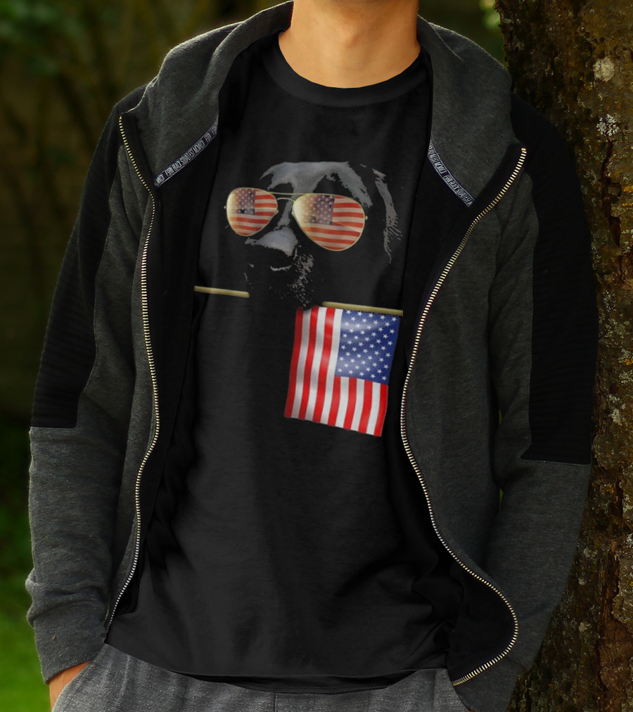 Patriotic Labrador With American Flag Shades Fourth Of July T-Shirt