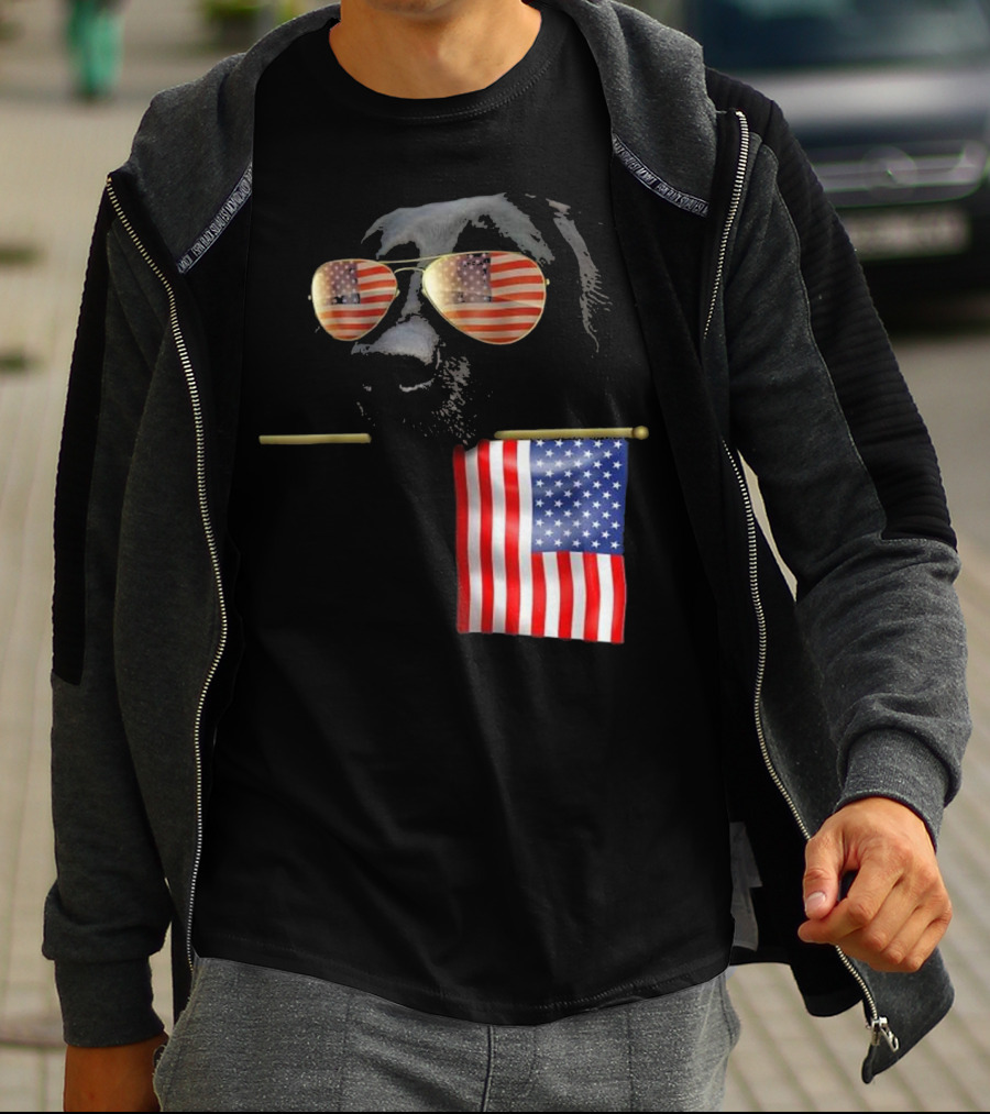 Patriotic Labrador With American Flag Shades Fourth Of July T-Shirt
