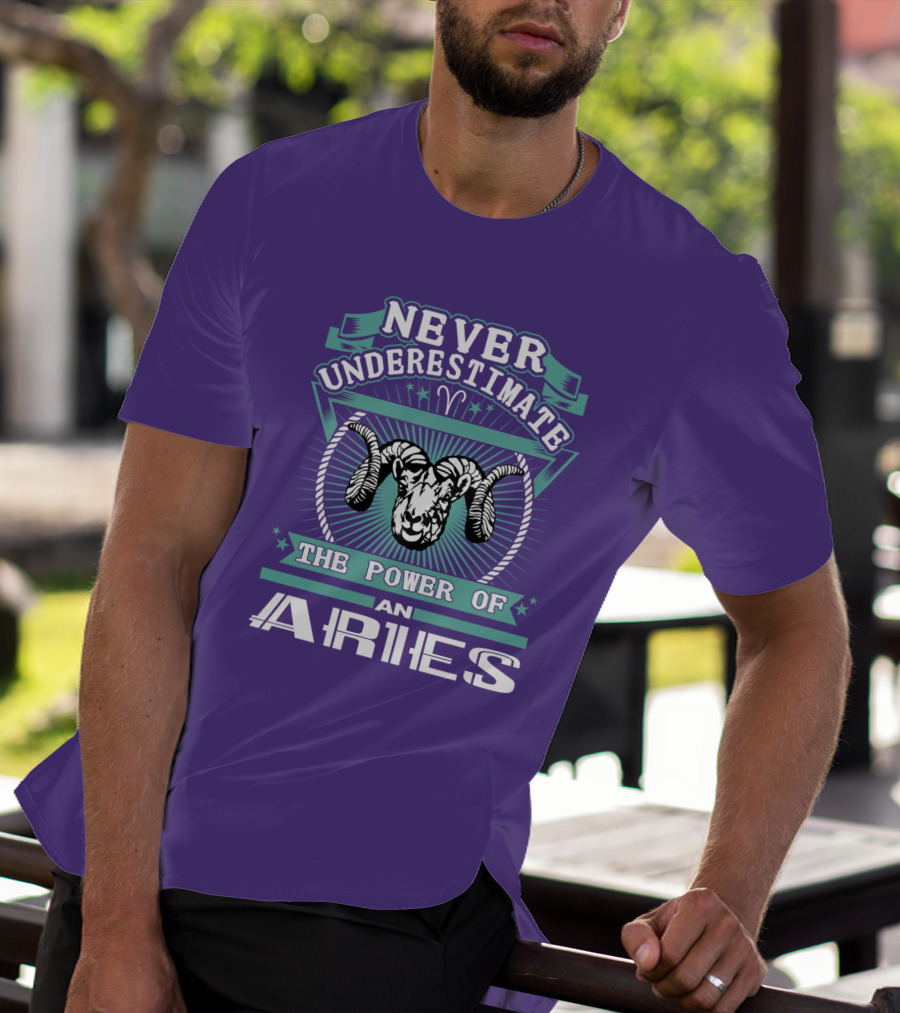 Never Underestimate The Power Of An Aries T-Shirt
