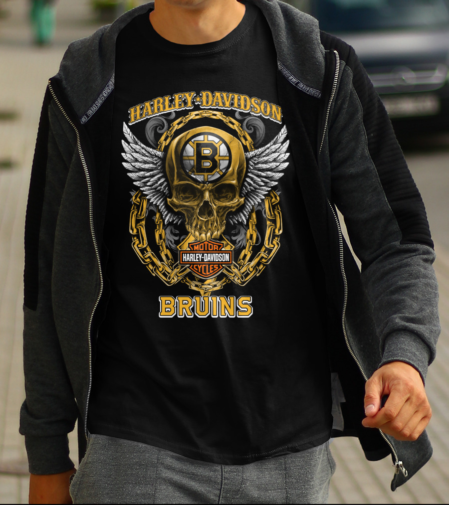 Harley Davidson Motorcycles Bruins Nhl Boston Bruins Skull Winged T-Shirt