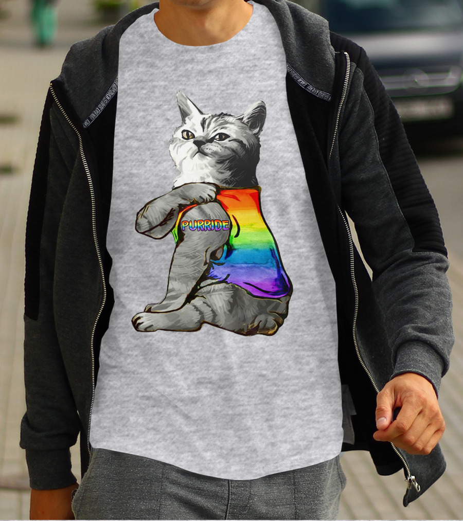 Purride Cat In Rainbow Colors T-Shirt