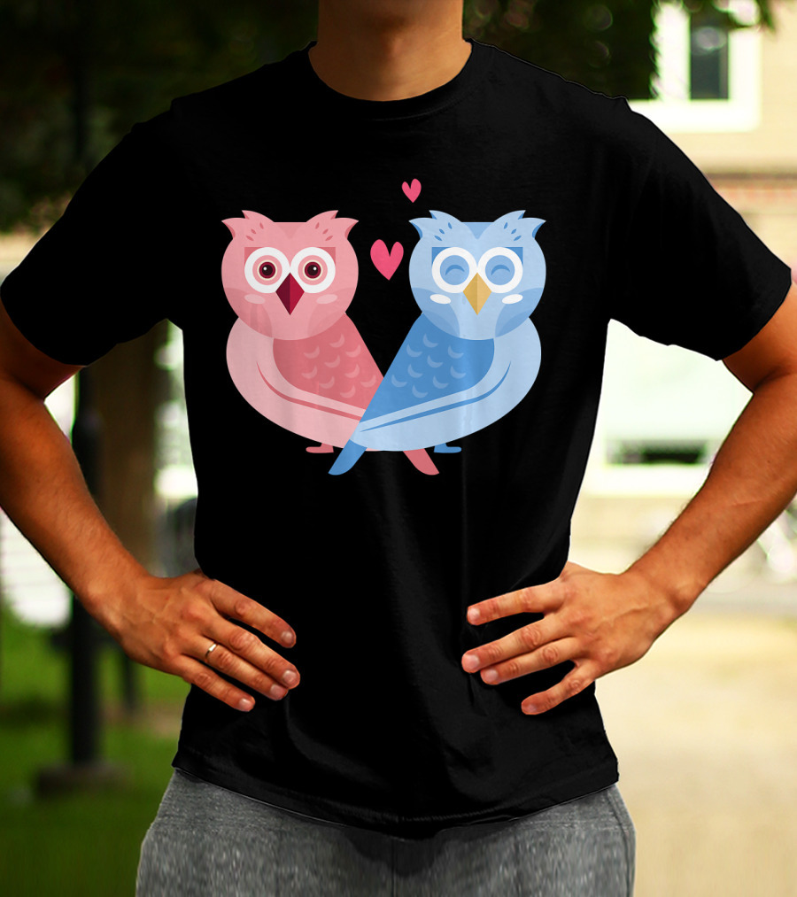 Cute Owls Birds In Love Couple With Hearts T-Shirt
