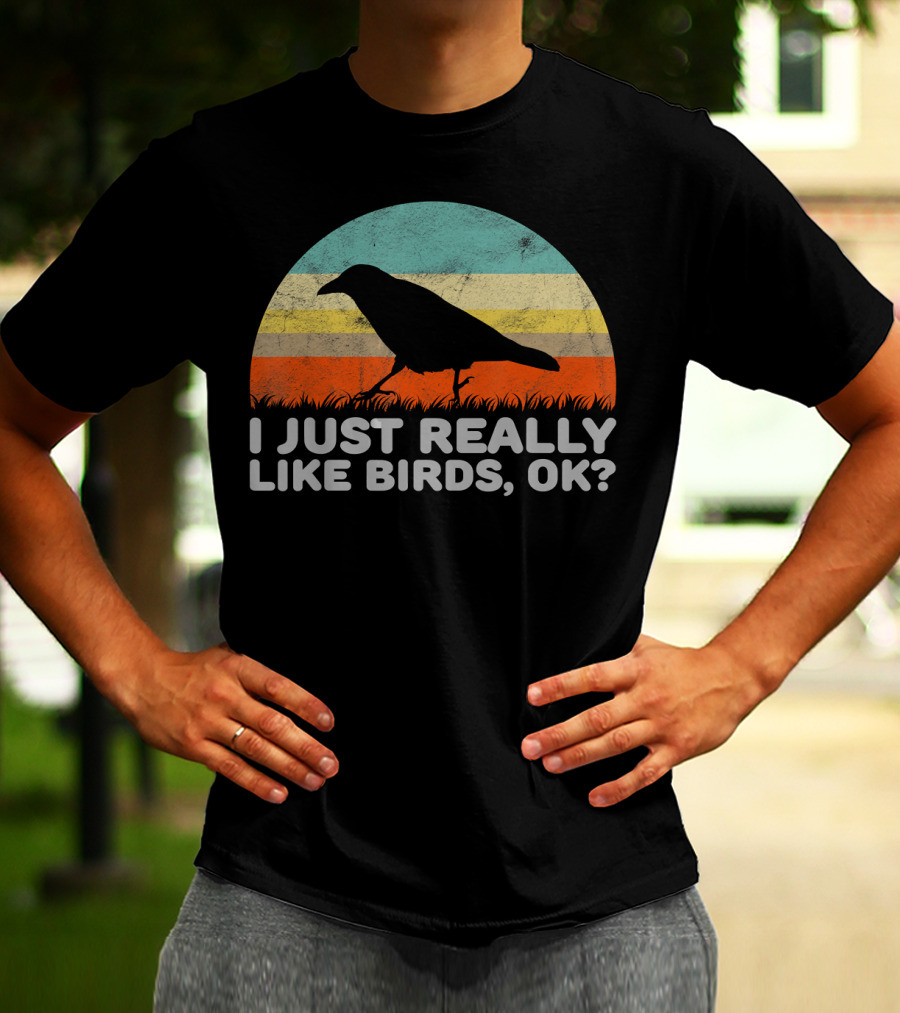 I Just Really Like Birds OK Retro Sunset Bird T-Shirt