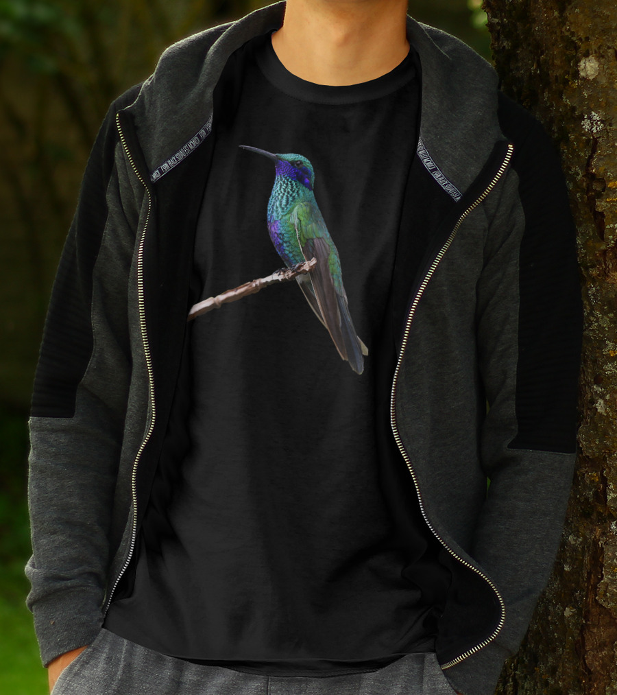 Hummingbird Bird Ornithology Vivid Green And Blue Perched Bird T-Shirt