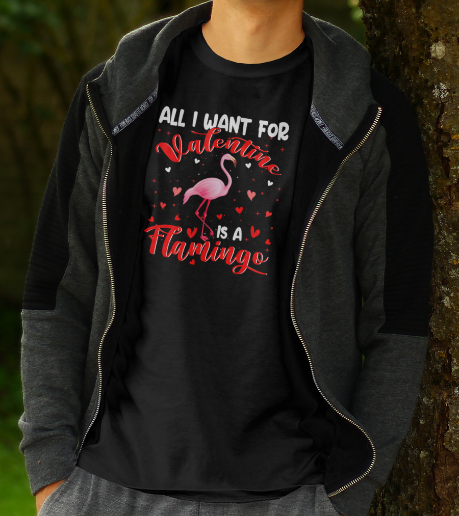 All I Want For Valentine Is A Flamingo T-Shirt