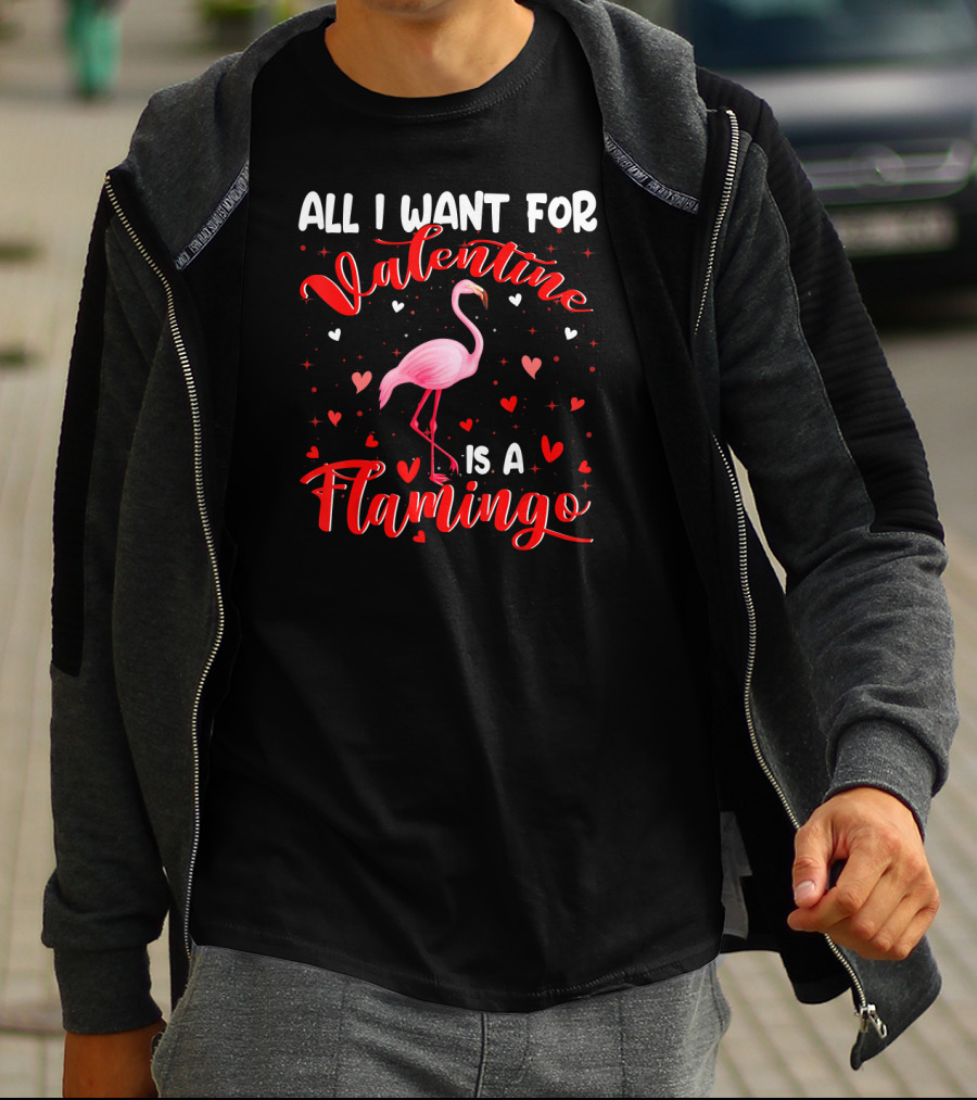 All I Want For Valentine Is A Flamingo T-Shirt