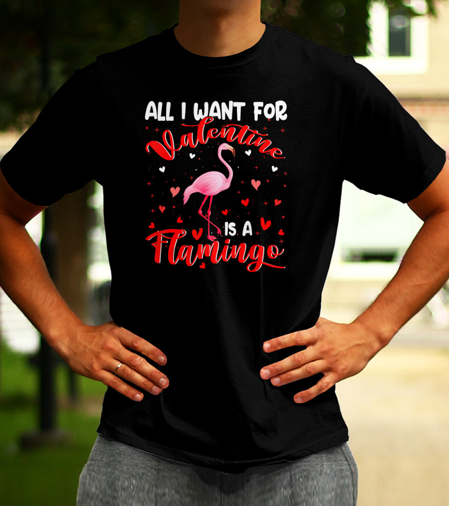 All I Want For Valentine Is A Flamingo T-Shirt